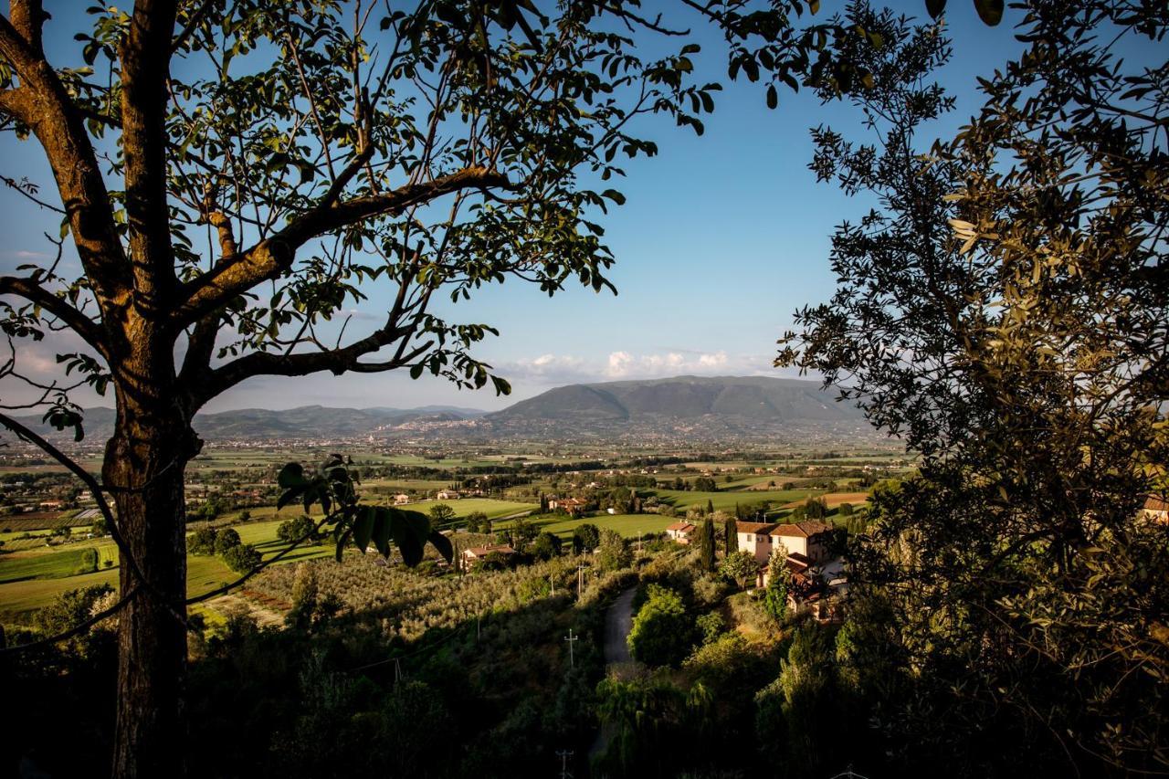 Alojamento de Turismo Rural Il Poggio Degli Olivi