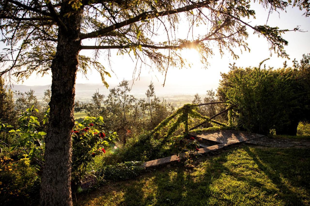 Alojamento de Turismo Rural Il Poggio Degli Olivi *