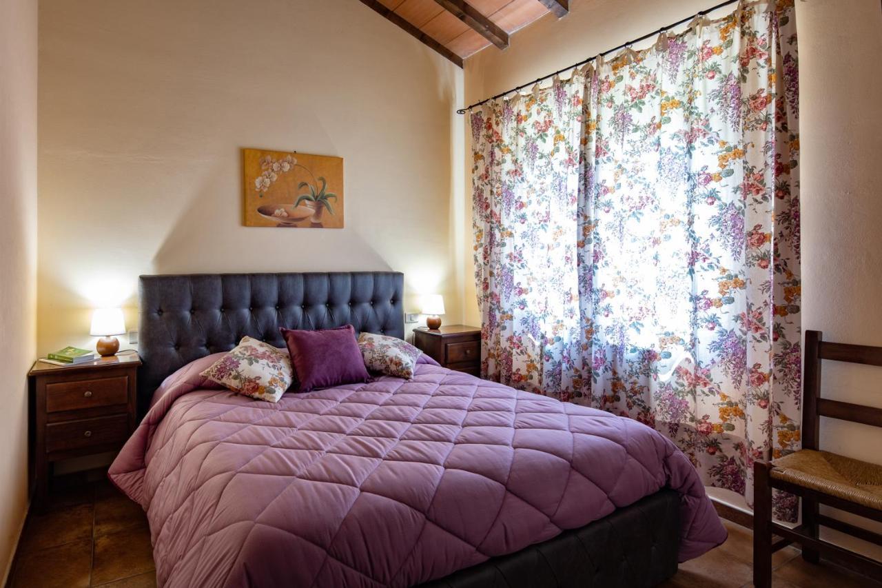 Il Poggio Degli Olivi *
