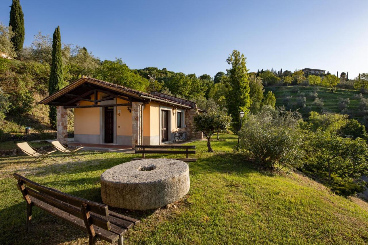 Il Poggio Degli Olivi Alojamento de Turismo Rural
