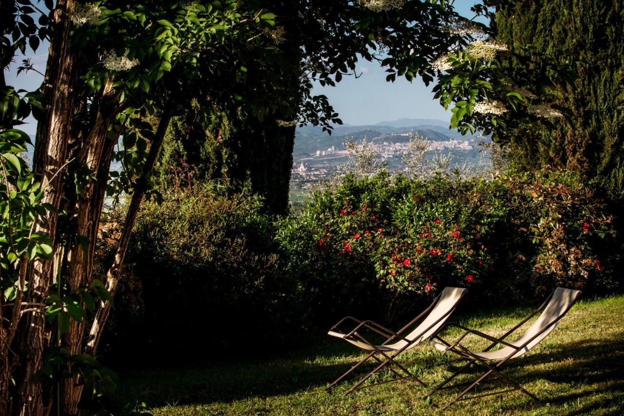 Il Poggio Degli Olivi Bettona