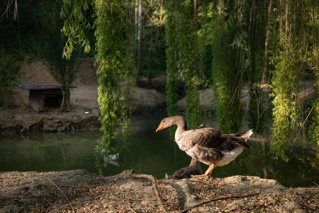 Il Poggio Degli Olivi Alojamento de Turismo Rural Bettona