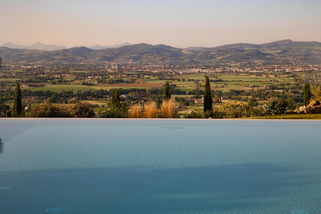 Il Poggio Degli Olivi Alojamento de Turismo Rural