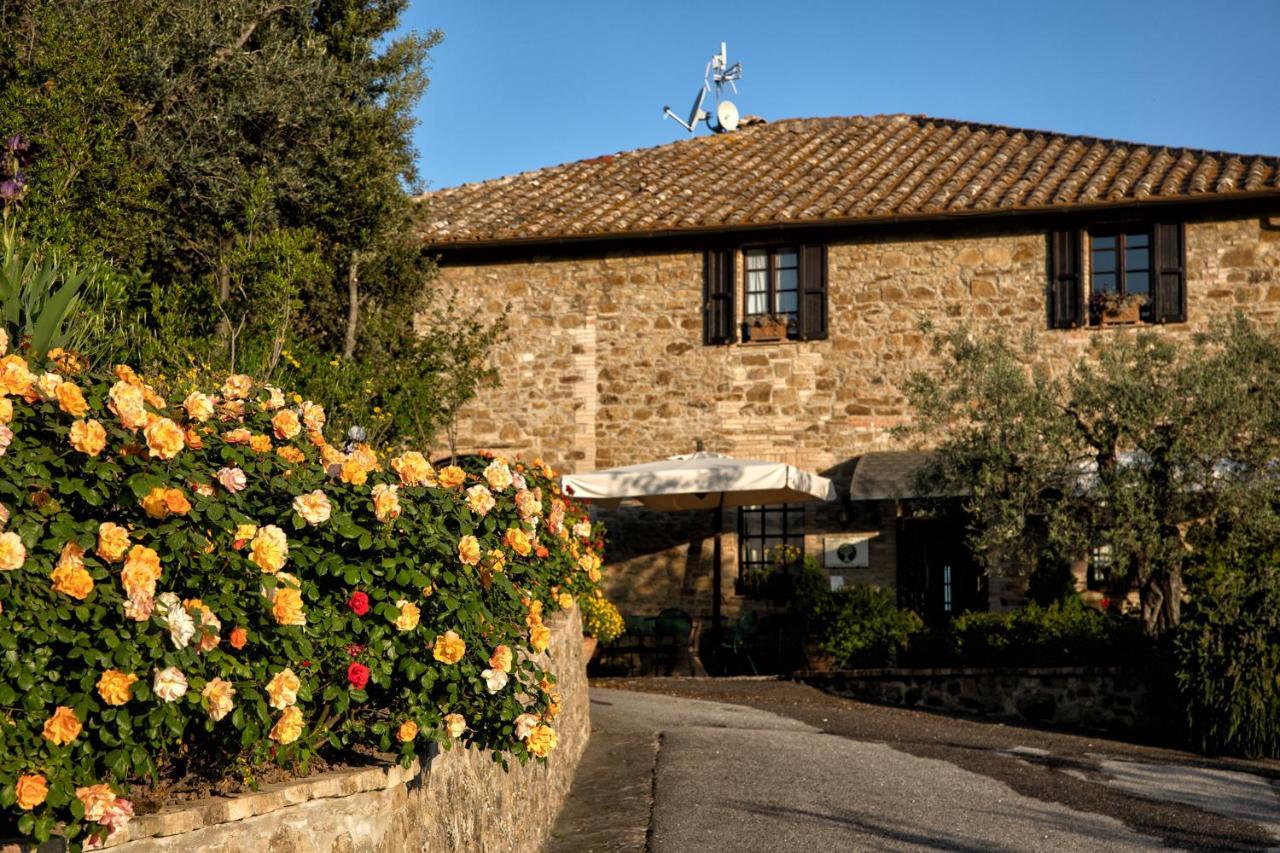 Alojamento de Turismo Rural Il Poggio Degli Olivi Bettona