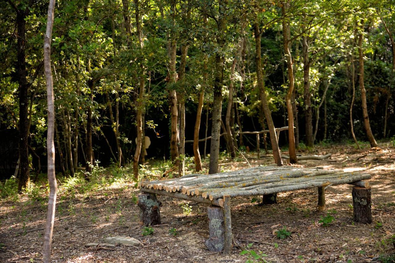 Il Poggio Degli Olivi Alojamento de Turismo Rural Bettona