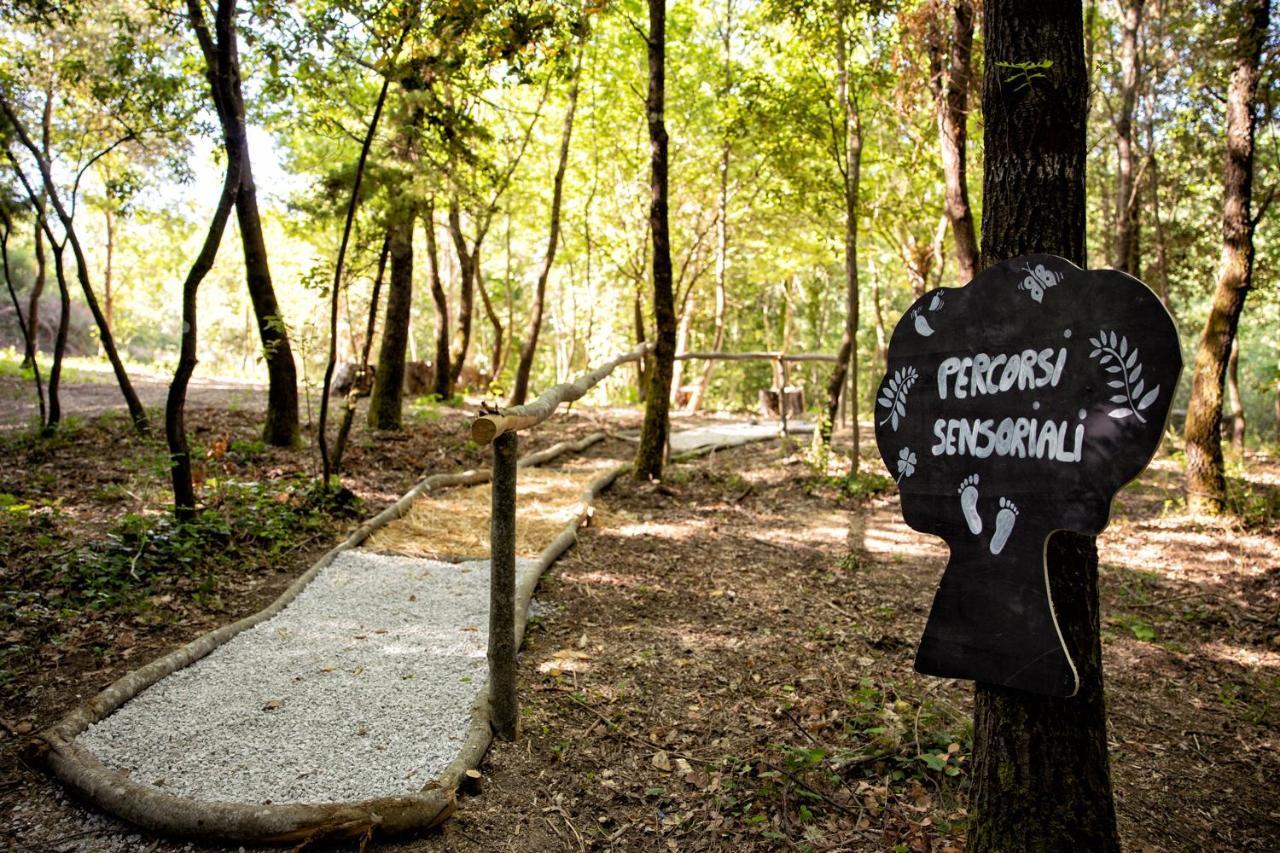 Il Poggio Degli Olivi Alojamento de Turismo Rural